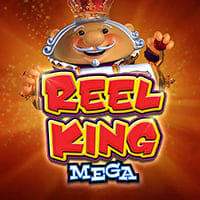 Reel King Mega in Daily_Must_Go