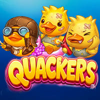 Quackers in New