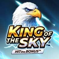 King of the Sky: Hit the Bonus in Sub_PlaysonNew