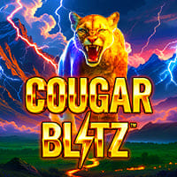 Cougar Blitz in New