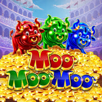 Moo Moo Moo in New
