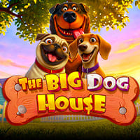 The Big Dog House in Novedades_destacadas