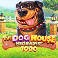 The Dog House Megaways 1000 in New