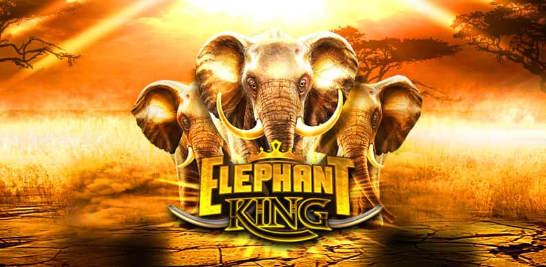 Elephant King in Slots de Casino