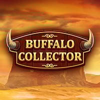 Buffalo Collector in Daily_Must_Go