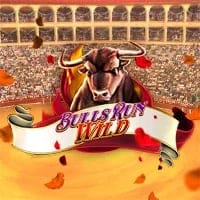 Bulls Run Wild
