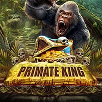 Primate King in Daily_Must_Go